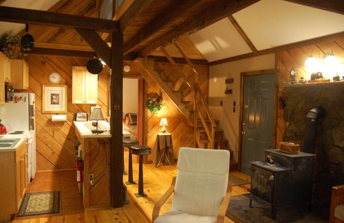Tyro Cabin | Rustic Mountain Retreat-Bear Paw