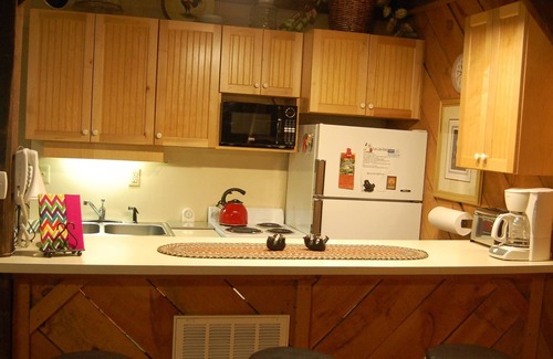 Tyro Cabin | Rustic Mountain Retreat-Bear Paw
