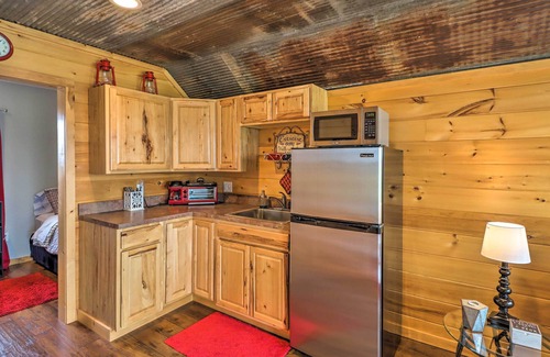 Norfork Apartment | Rustic Norfork Studio w/Million Dollar View!