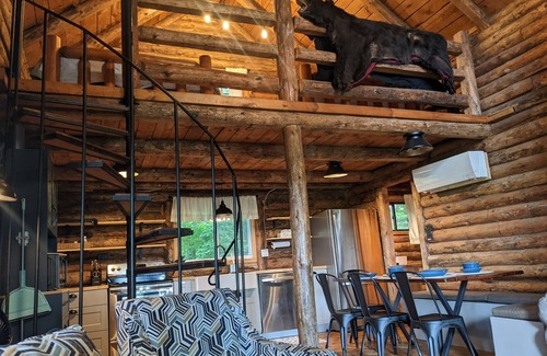 Bear Lake Cabin | Rustic Retreat Log Cabin Nestled Among 65 Acres