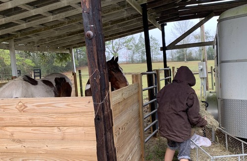 Baldwin County RV Rental | RV or horse trailer hookup with pasture for horses