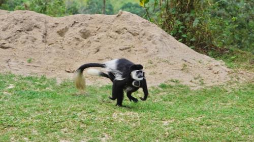 Fort Portal House | Rweteera Homestay