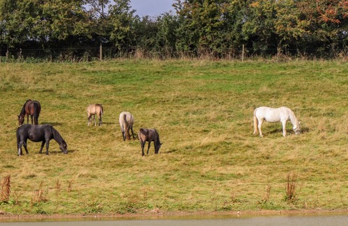 Ardfinnan Apartment | RYAN'S LOFT, pet friendly in Ardfinnan, County Tipperary