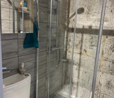 Thann Apartment | Séjour entre ville et montagnes Appartement 100m2