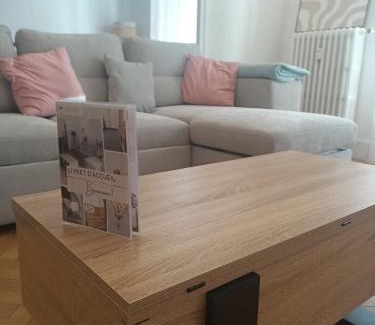 Chambery Apartment | Séjour lumineux à 800m gare, près des Éléphants