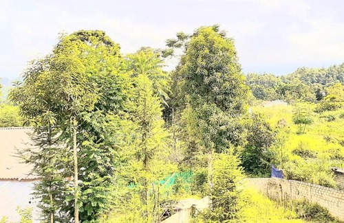Bac Ha House | Sa House Bac Ha