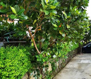 Suphan Buri House | Sab Suwarn Mansion