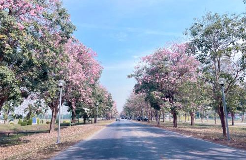 Kamphaeng Saen Hotel | Saenpalm training home แสนปาล์ม เทรนนิ่ง โฮม