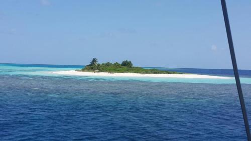 Eydhafushi Boat Rental | SailFish Catamaran