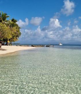 Carti Tupile Boat Rental | Sailing Experiences - Full Catamaran with skipper