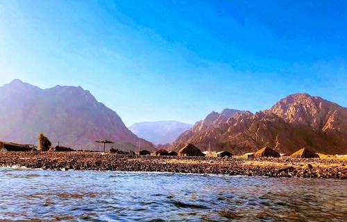 Taba Heights Other | SakraTah Camp - eco friendly