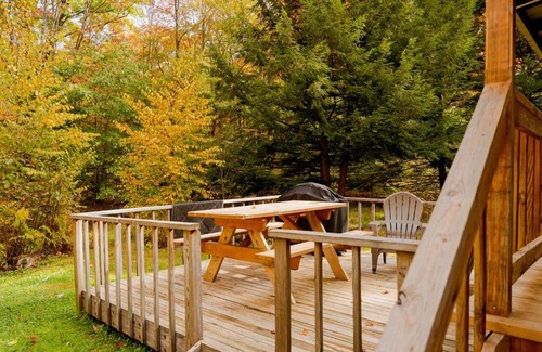 Marienville House | Salmon Creek Cabin - Allegheny National Forest