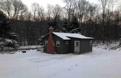 Marienville House | Salmon Creek Cabin - Allegheny National Forest