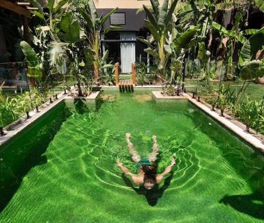 Aiora Hotel | Saman Hotel Boutique
