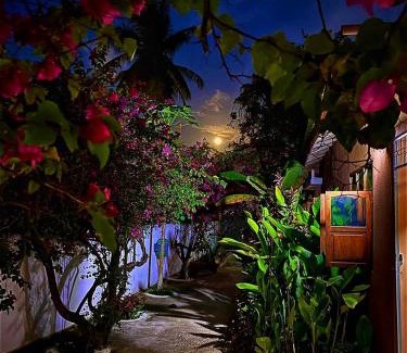 Bwejuu Beach Bed & Breakfast | Samsara Beach House