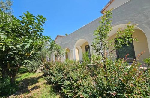 Vallo della Lucania Bed & Breakfast | San Filadelfo