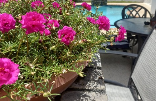 Monacillo House | San Juan, Villa, POOL, outdoor kitchen/BBQ & 15 mins from the airport & beaches