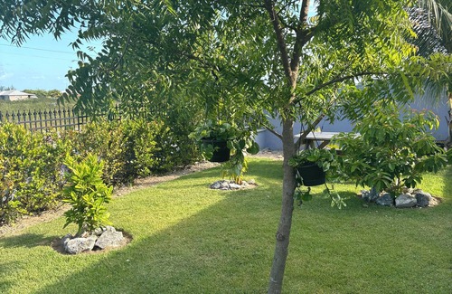 Marsh Harbour Bed & Breakfast | SanAndros Airbnb