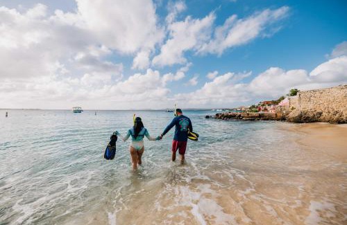 Kralendijk Apartment | Sand Dollar Bonaire