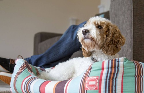 Winnard's Perch Villa | Sanderling House - Two Bedroom Villa, Sleeps 4