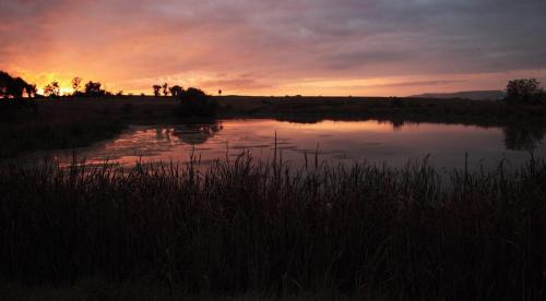 Okhahlamba Hotel | Sandford Park Country Hotel