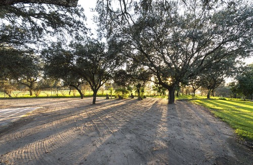Peraleda de la Mata Cottage | Santa Cruz de Alarza, a place to enjoy nature