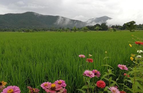 Cho Lae House | Santitham Home Farm Stay