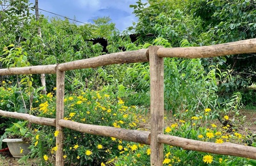 Cha Pai Bed & Breakfast | Sapa Plum Homestay