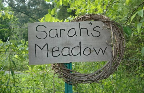 Townsend Cabin | Sarah's Meadow - Cabins for Rent in Townsend, Tennessee, United States