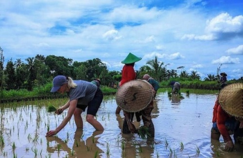 Selong Other | Sasak Living Authentic