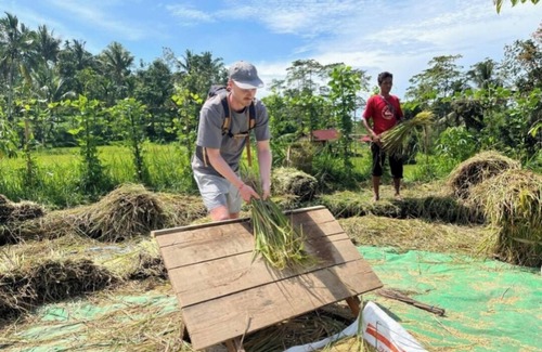 Selong Other | Sasak Living Authentic