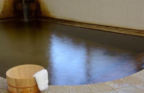 Itoigawa Hotel | Sasakura onsen Ryuunso