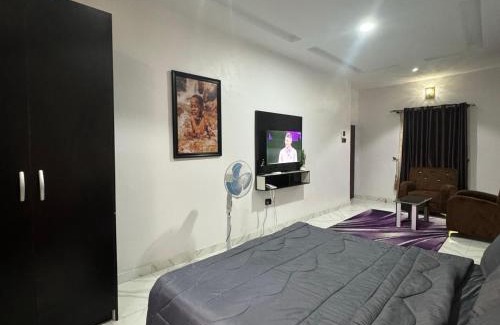Amuwo Odofin Apartment | SATELLITE APARTMENT The Classic Studio 4