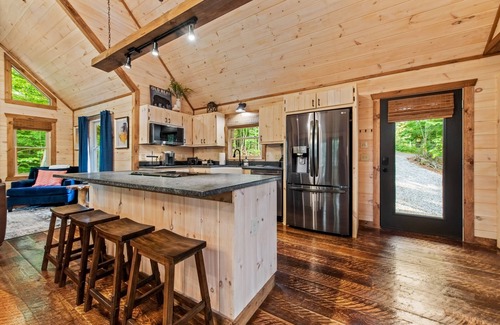 Blue Ridge Cabin | Sauna! Sport Court! Hot Tub! Firepit! Game Room!