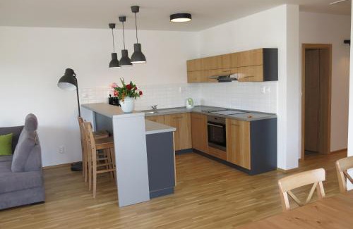 Velky Meder Apartment | Scandic apartmany