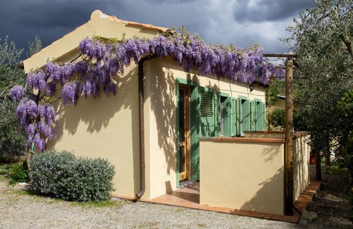 Scansano Apartment | SCANSANO APPARTAMENTO COLLINE MARE MAREMMA
