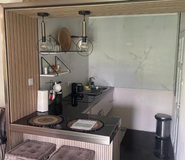 Haggatt Hall Apartment | Scarlett Studios 1 -US Embassy Appt 7 mins drive- Lloyd Erskine Sandiford Centre and Ross uni 5 mins drive -Only the 1 night package includes Airport and US Embassy roundtrip