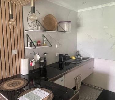 Haggatt Hall Apartment | Scarlett Studios 1 -US Embassy Appt 7 mins drive- Lloyd Erskine Sandiford Centre and Ross uni 5 mins drive -Only the 1 night package includes Airport and US Embassy roundtrip