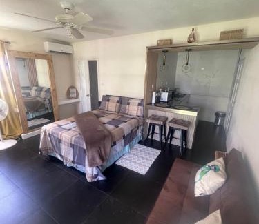 Haggatt Hall Apartment | Scarlett Studios 1 -US Embassy Appt 7 mins drive- Lloyd Erskine Sandiford Centre and Ross uni 5 mins drive -Only the 1 night package includes Airport and US Embassy roundtrip