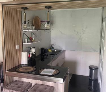 Haggatt Hall Apartment | Scarlett Studios 1 -US Embassy Appt 7 mins drive- Lloyd Erskine Sandiford Centre and Ross uni 5 mins drive -Only the 1 night package includes Airport and US Embassy roundtrip