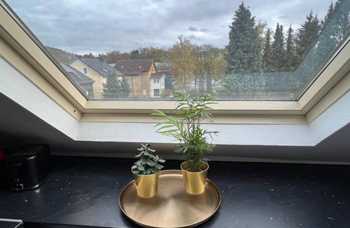 Siegen Apartment | Schöne 2 Zimmerwohnung mit Kostenlosem Parkplatz