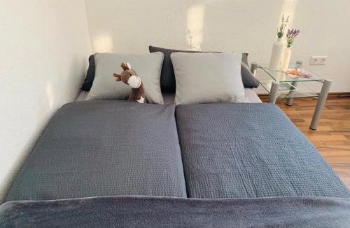 Rofingen Apartment | Schöne Wohnung in Röfingen