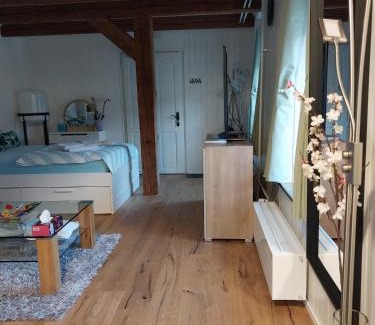Wienacht-Tobel Apartment | schickes gemütliches Studio