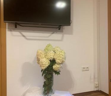 Stainz Apartment | Schilcherland-Apartment