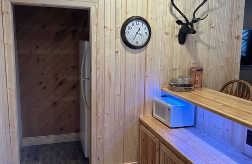 Mecosta House | School Section Lakes Cozy Cabin
