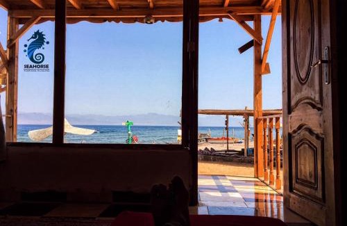 Nuweiba Other | sea horse