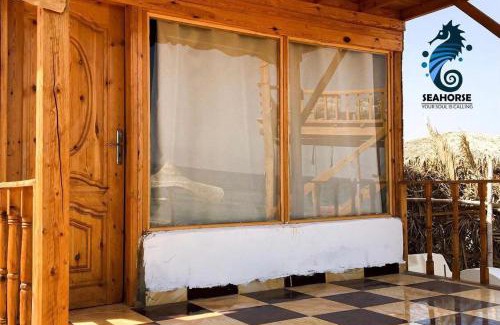 Nuweiba Other | sea horse