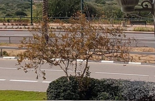 Netanya House | Sea view Luxury 5 rooms Garden apartment Natanya