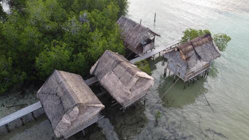 Manyaifun House | Sea Whip Raja Ampat