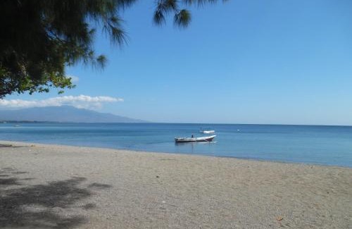Maumere Resort | Sea World Club Beach Resort & Dive Center